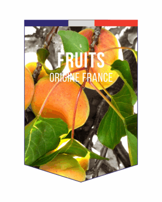 logo_PARTITION GOURMANDE_savoir-faire recettes signatures (2)