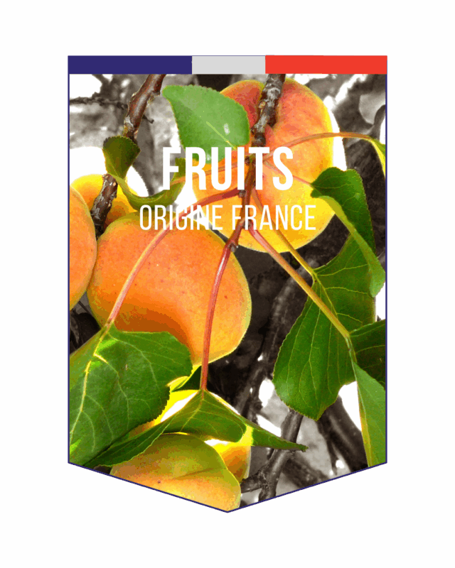 logo_PARTITION GOURMANDE_savoir-faire recettes signatures (2)